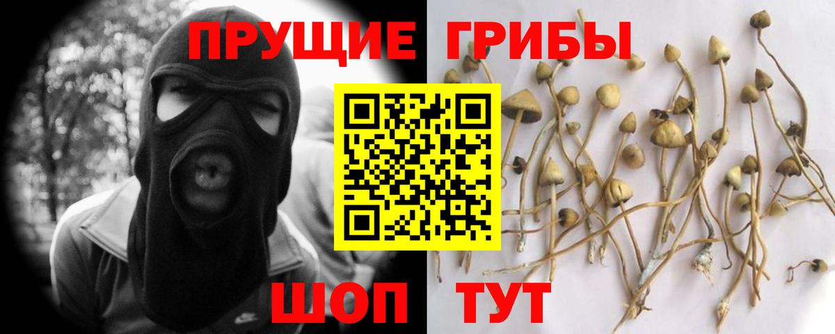 Галлюциногенные грибы мицелий  Вход с VPN  Нефтеюганск  Псилоцибиновые грибы мицелий 